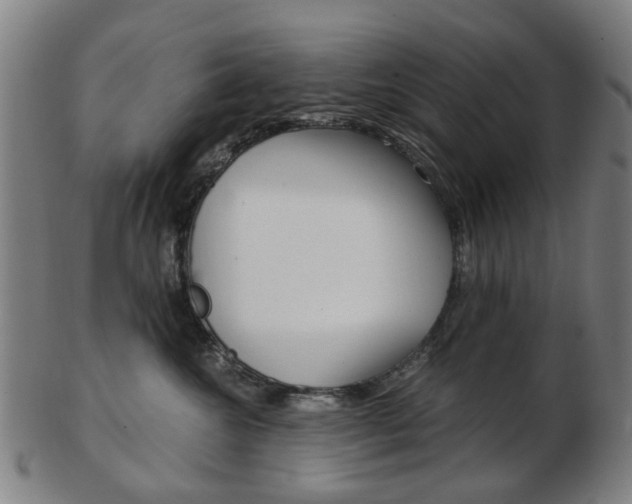 X0000103480572200809120931