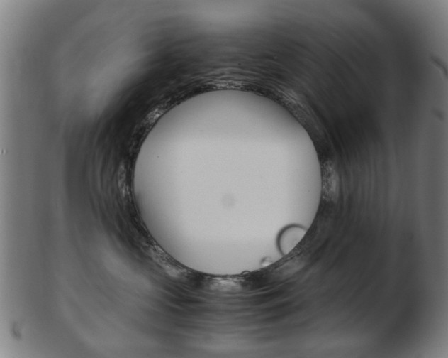X0000103480573200809120931