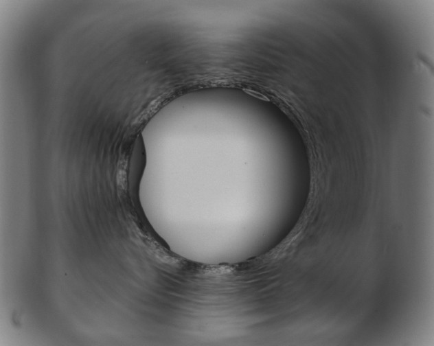 X0000103480576200809120931