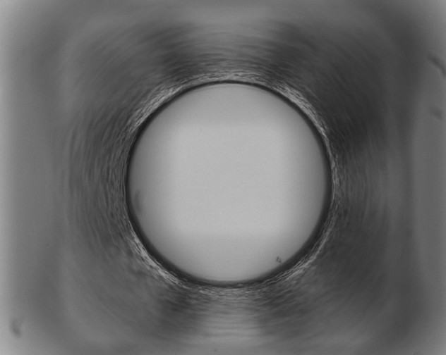 X0000103480577200809120930