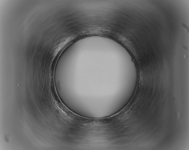X0000103480578200809120930