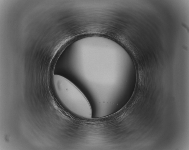 X0000103480580200809120930
