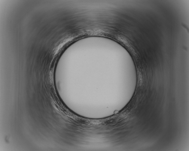 X0000103480583200809120930