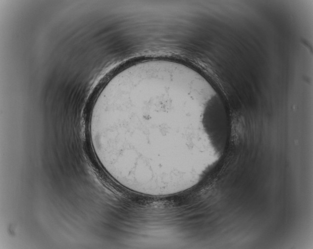 X0000103480584200809120930