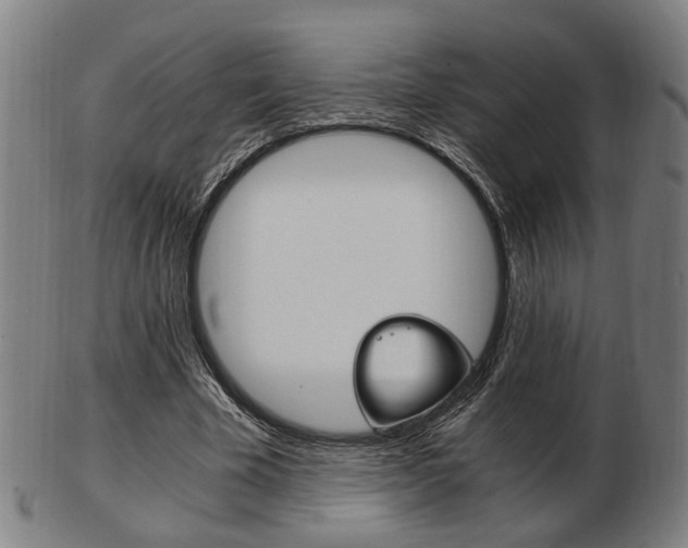 X0000103480585200809120930