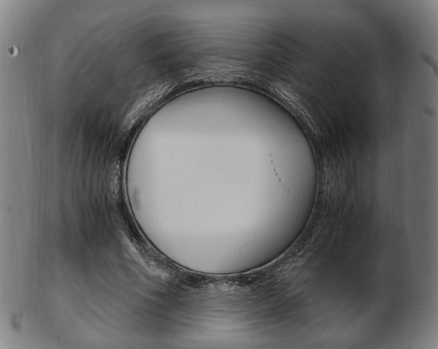 X0000103480586200809120930
