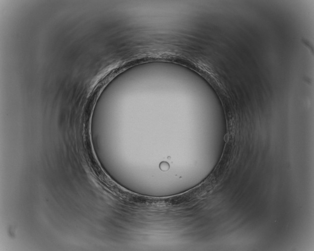 X0000103480587200809120930