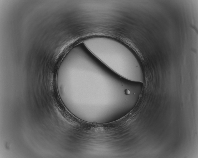 X0000103480588200809120930