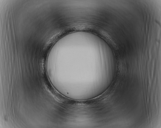 X0000103480590200809120930