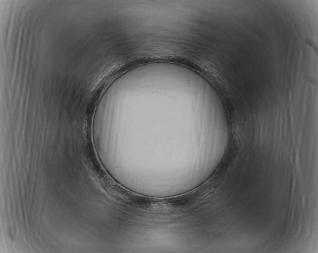 X0000103480591200809120930