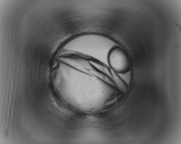 X0000103480592200809120930