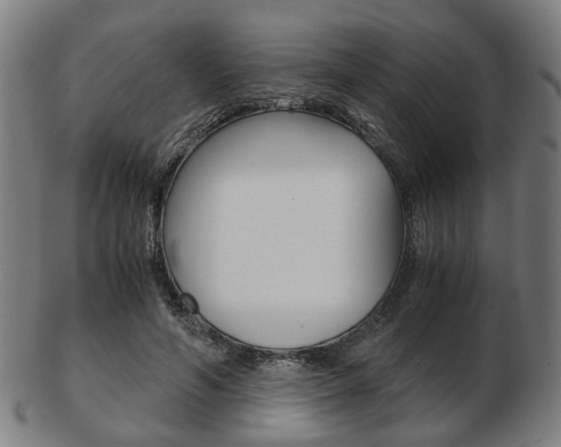 X0000103480594200809120930