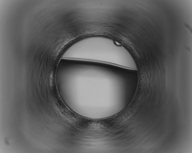 X0000103480596200809120930