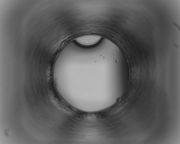 X0000103480600200809120930