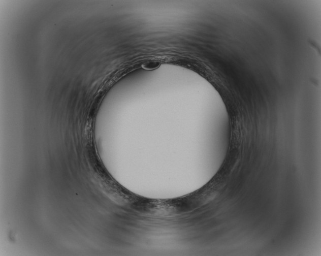 X0000103480601200809120930