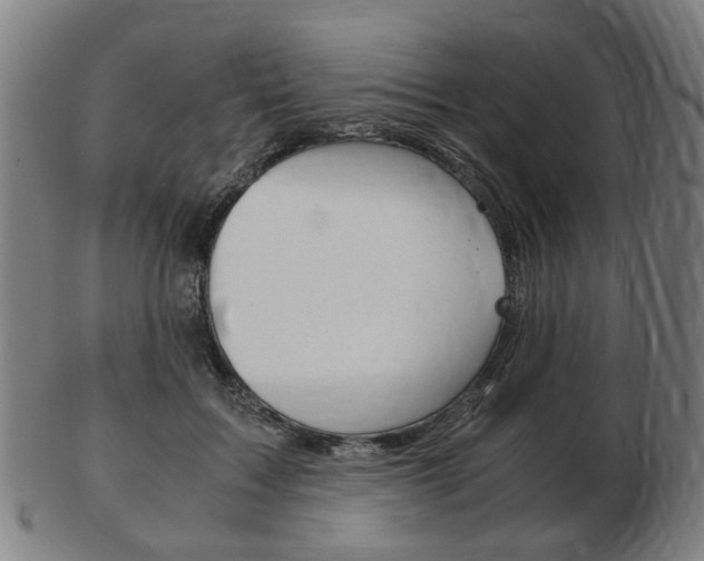 X0000103480603200809120930