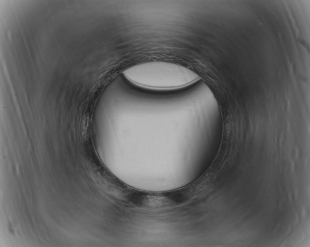 X0000103480605200809120930