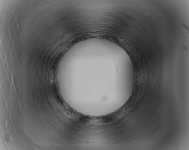 X0000103480606200809120930