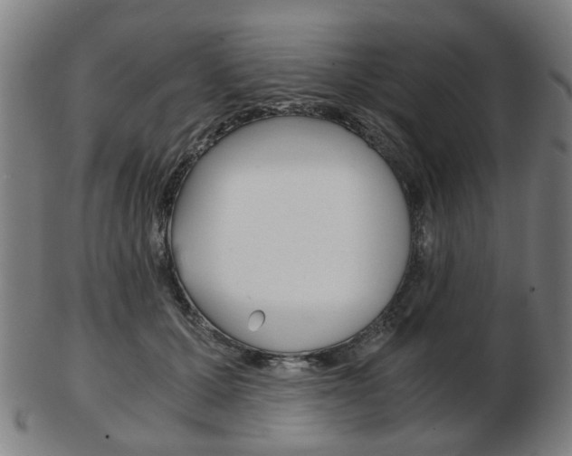 X0000103480607200809120930