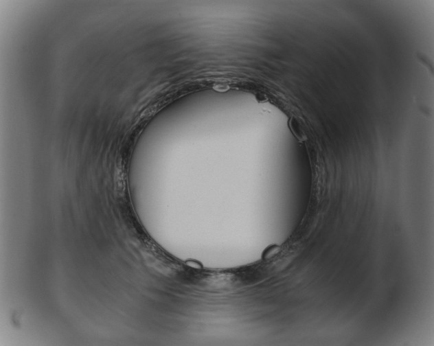X0000103480609200809120930