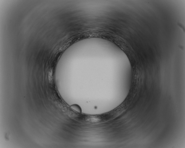 X0000103480610200809120929