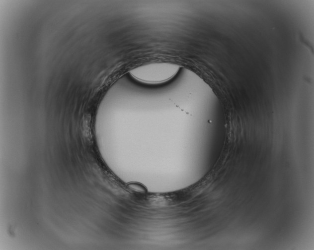 X0000103480616200809120929
