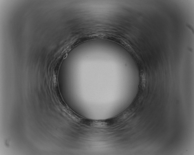 X0000103480617200809120929