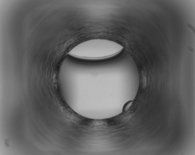 X0000103480619200809120929
