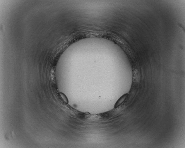 X0000103480621200809120929