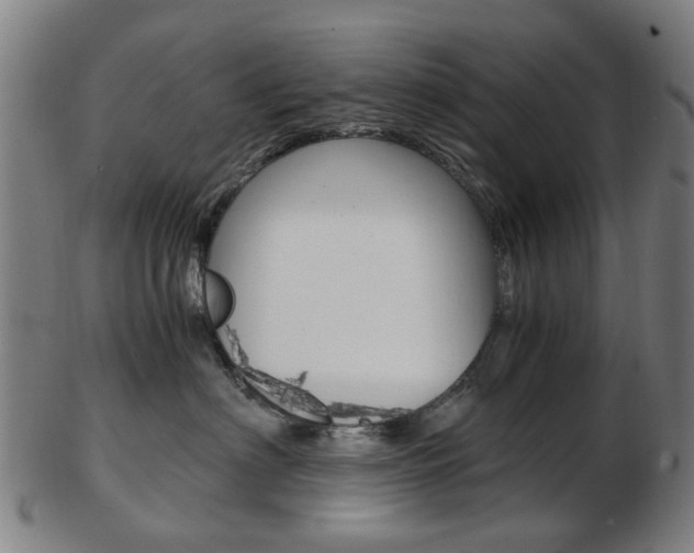 X0000103480622200809120929