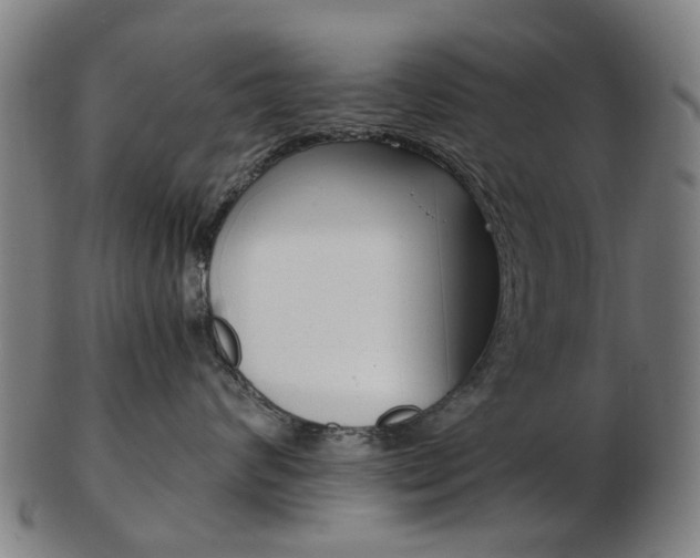 X0000103480624200809120929