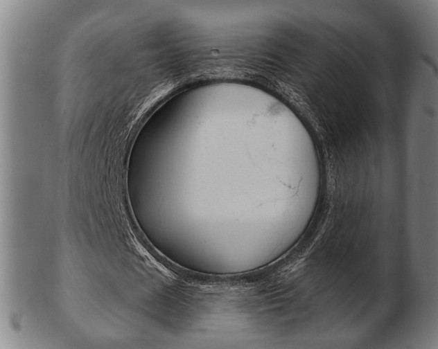 X0000103480625200809120929