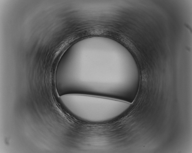 X0000103480626200809120929