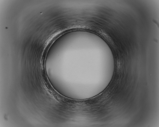 X0000103480628200809120929