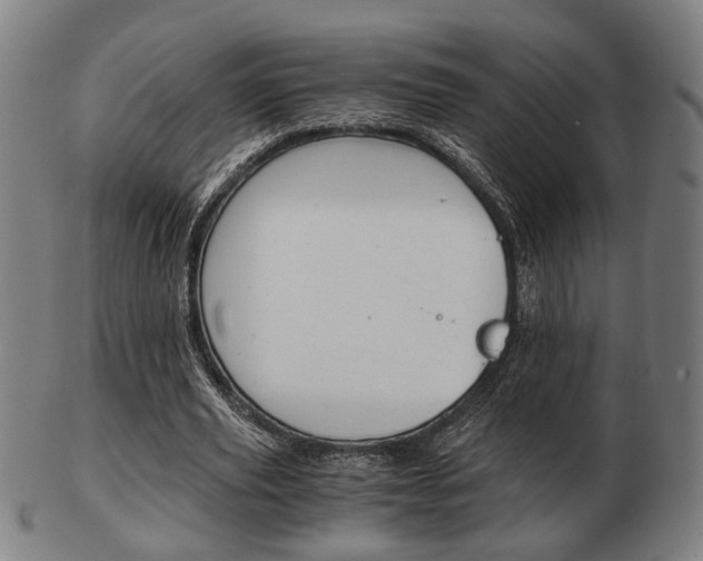 X0000103480629200809120929