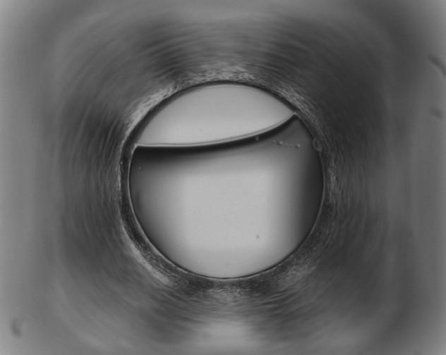 X0000103480630200809120929