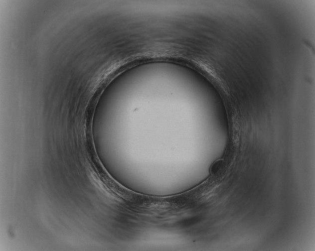 X0000103480631200809120929