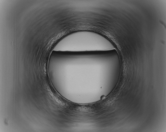 X0000103480633200809120929