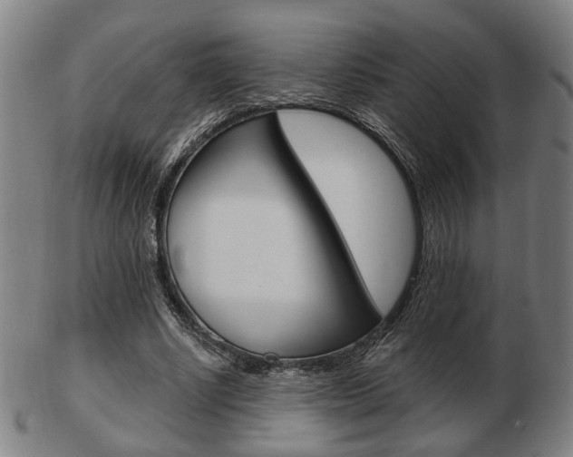 X0000103480634200809120929