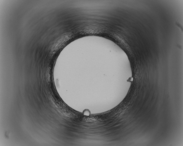 X0000103480635200809120929