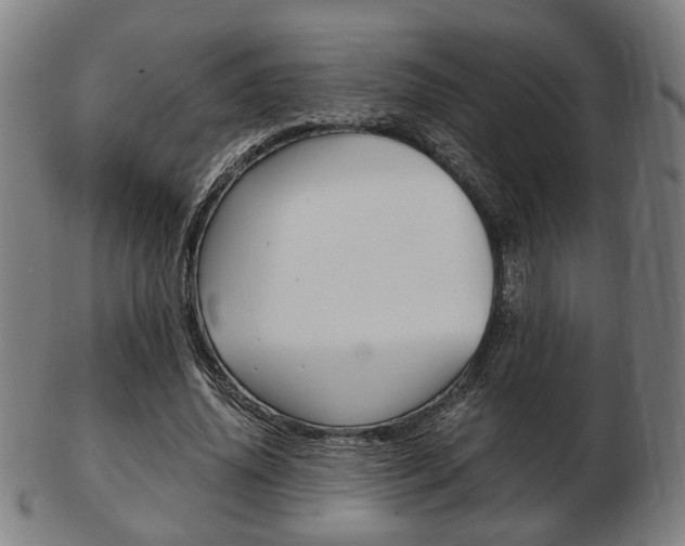 X0000103480636200809120929