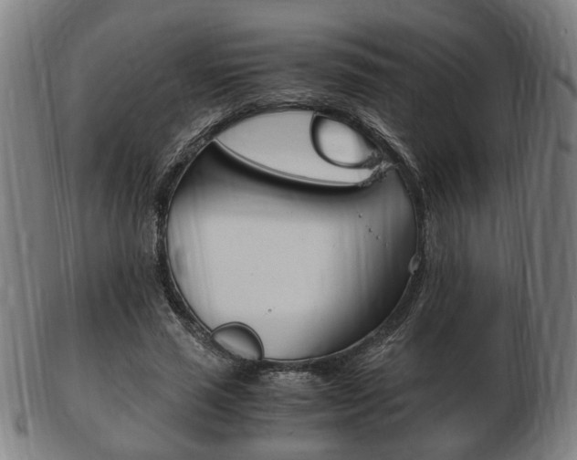 X0000103480637200809120929