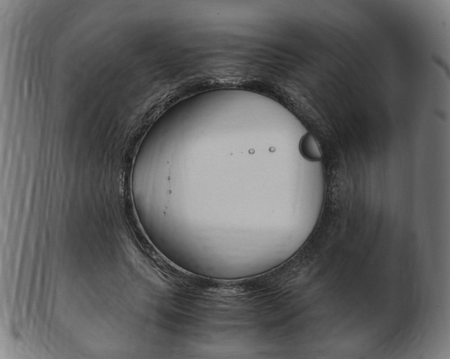 X0000103480639200809120929