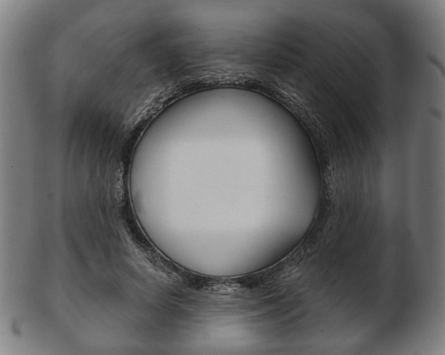 X0000103480642200809120929