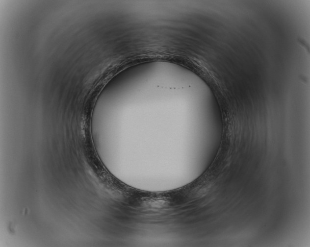 X0000103480643200809120929