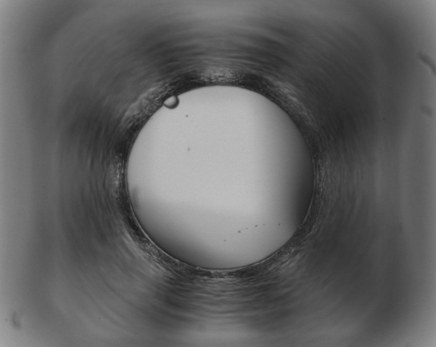 X0000103480645200809120929