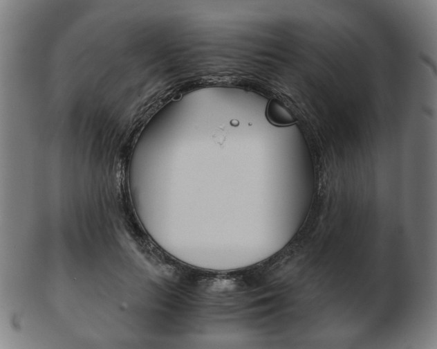 X0000103480647200809120929