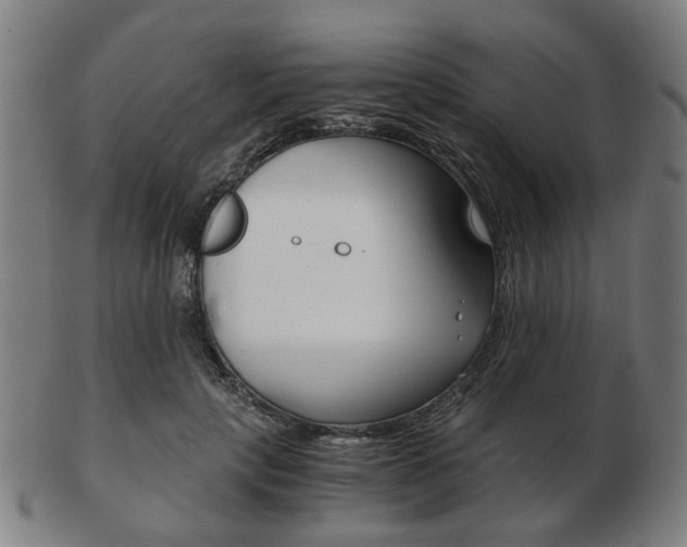 X0000103480649200809120929