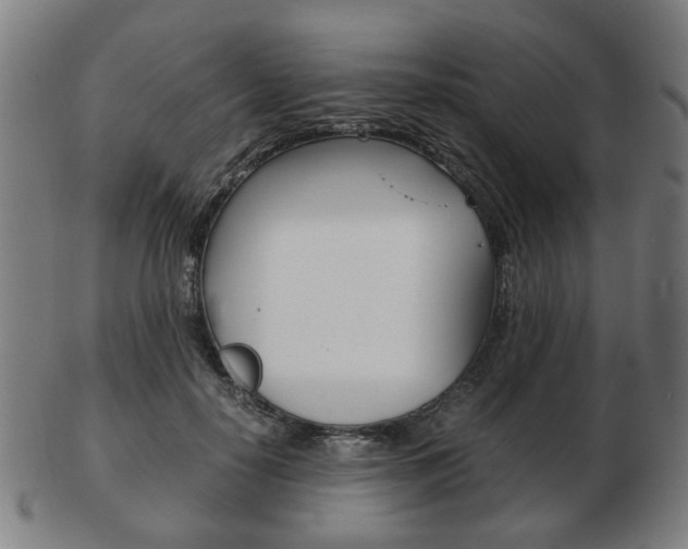 X0000103480650200809120929