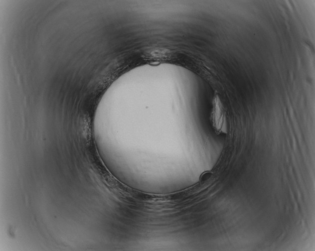 X0000103480651200809120929